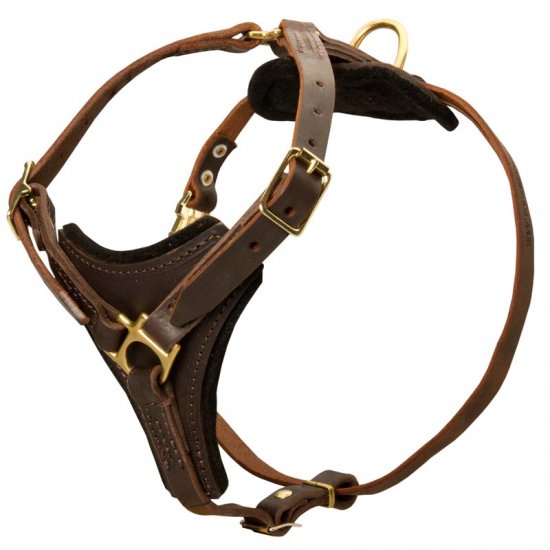 Walking Luxury Handcrafted Leather Dog Harness [H7###1092 Leather Tracking Dog  Harness] : Custom dog harnesses for Pulling, Training, Tracking, Walking