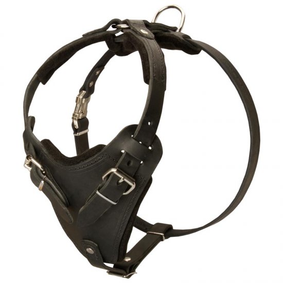 Protection Leather Dog Harness for Attack / Agitation Dog Training [H1