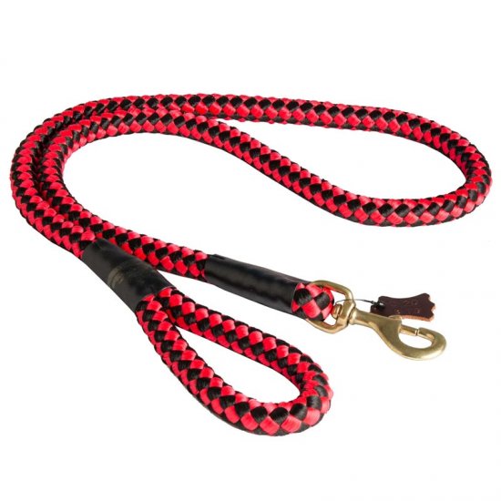 nylon cord dog leash