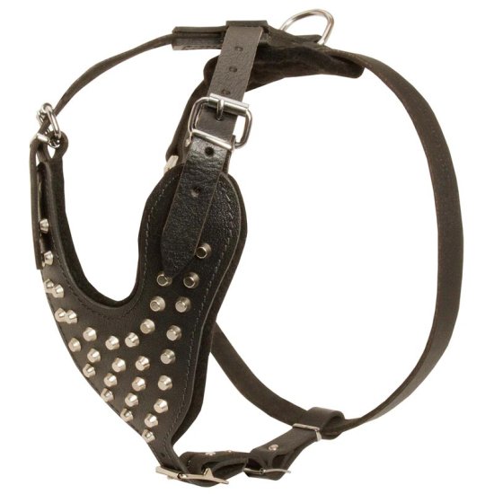 Fashion nylon harness